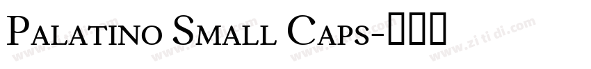 Palatino Small Caps字体转换 Palatino Small Caps字体转换